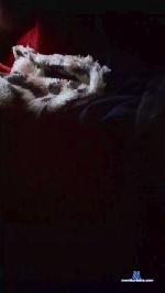 casal896 cam4 livecam show performer room profile
