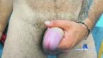 WildStalion_ cam4 livecam show performer room profile