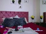 romano1900 cam4 livecam show performer room profile