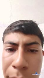 lion3hdz1 cam4 livecam show performer room profile