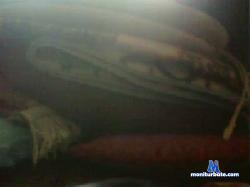 sebas_dairysex cam4 live cam performer profile
