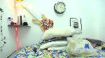 Belahot69 cam4 livecam show performer room profile
