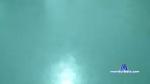 sexcba1312 cam4 livecam show performer room profile