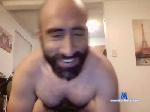 phalabored cam4 livecam show performer room profile