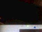 delfina_ cam4 livecam show performer room profile