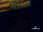 geilestut cam4 livecam show performer room profile