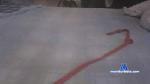 couple5_fun cam4 livecam show performer room profile