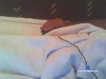 andreatrs23 cam4 livecam show performer room profile