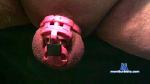 tinypenistom cam4 livecam show performer room profile