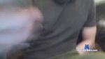 Stegscamshow cam4 livecam show performer room profile