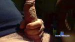 palp cam4 livecam show performer room profile