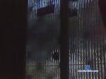 flaco314 cam4 livecam show performer room profile