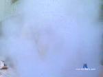 Jenifer_Vega cam4 livecam show performer room profile