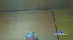 Chilotense cam4 livecam show performer room profile