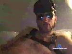 230avs cam4 livecam show performer room profile