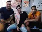 bicuriosos_hot cam4 livecam show performer room profile