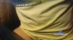dima2551 cam4 livecam show performer room profile