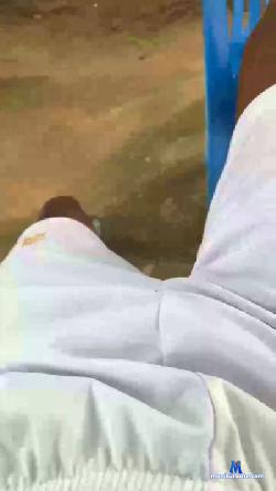 Cavalotoro cam4 live cam performer profile