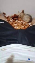 Big__ro cam4 livecam show performer room profile