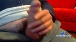 steg82 cam4 livecam show performer room profile