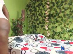 camIVclochard88 cam4 live cam performer profile