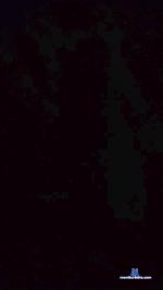 Longchibre cam4 livecam show performer room profile