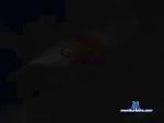 alekseyy2 cam4 livecam show performer room profile