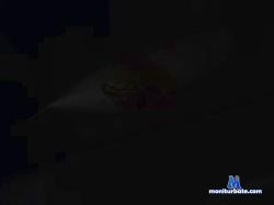 alekseyy2 cam4 live cam performer profile
