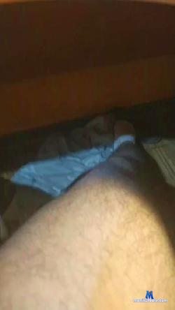 elpichularga cam4 live cam performer profile