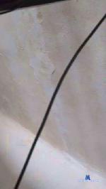 Royson2 cam4 livecam show performer room profile