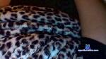 javvy31 cam4 livecam show performer room profile