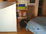 willnurschau cam4 livecam show performer room profile