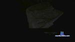 gentleguyx cam4 livecam show performer room profile