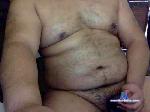 havenb cam4 livecam show performer room profile