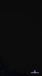 Soypacheco cam4 livecam show performer room profile