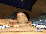 Ribeirosiebes cam4 livecam show performer room profile
