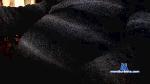 Alex_334 cam4 livecam show performer room profile