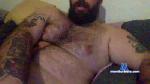 bear3393 cam4 livecam show performer room profile