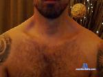 latinobear79 cam4 livecam show performer room profile