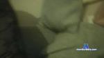 sexpar69sexy cam4 livecam show performer room profile