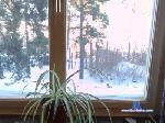 jhmnantes cam4 livecam show performer room profile