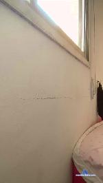 Belahabibi cam4 livecam show performer room profile