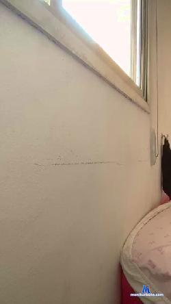 Belahabibi cam4 live cam performer profile