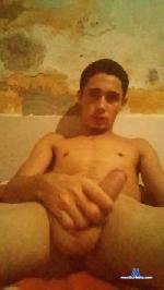 Sharkbird cam4 livecam show performer room profile