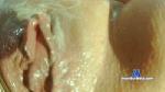 katty_milff3 cam4 livecam show performer room profile