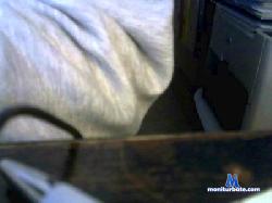 cocktherod cam4 live cam performer profile