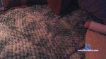 SpunsieLove cam4 livecam show performer room profile