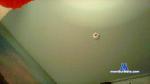 Siegehorcht cam4 livecam show performer room profile