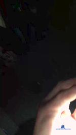 corygrant579 cam4 livecam show performer room profile
