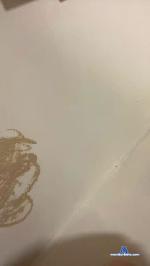 garoto19sex cam4 livecam show performer room profile